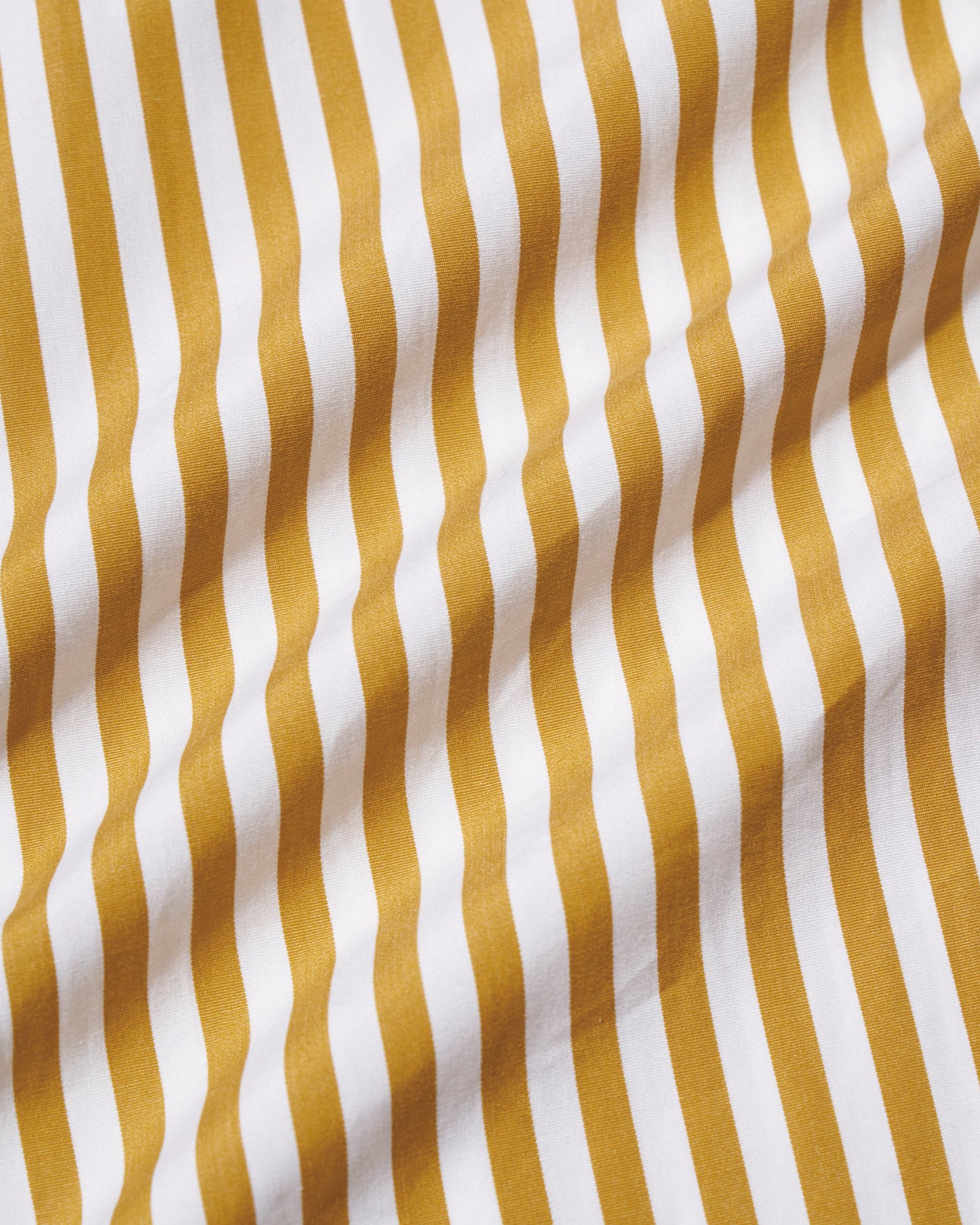 BD SHIRT BENGAL STRIPE
